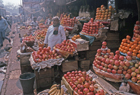 India 101240.jpg